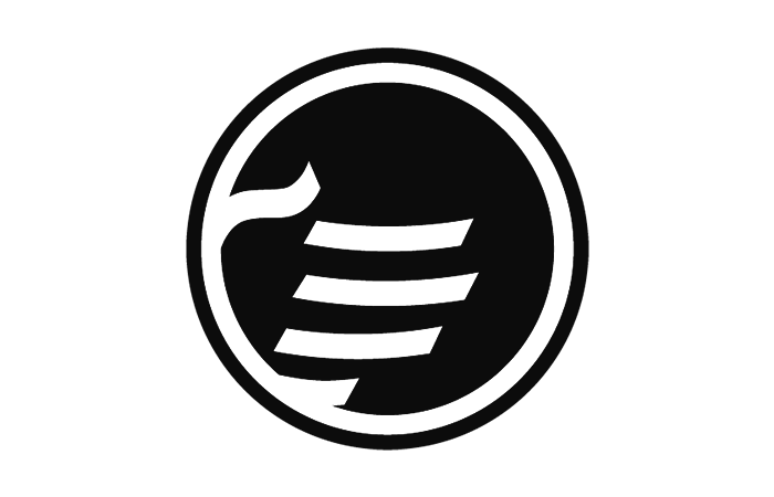 Branding Guide LP assets-background 1