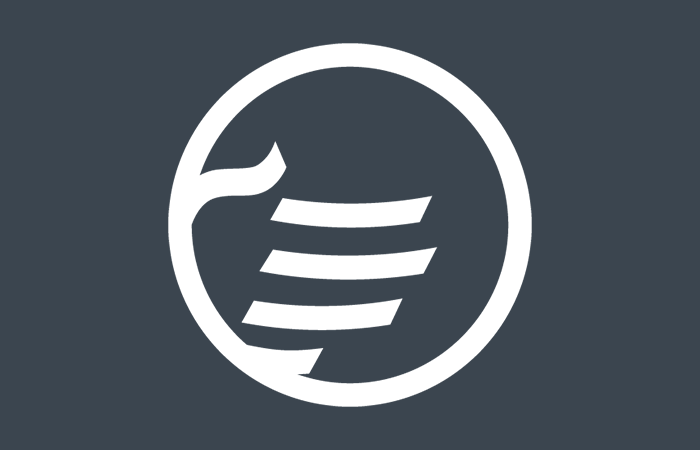 Branding Guide LP assets-background 2