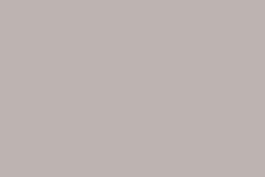 Branding Guide LP assets-colors 10