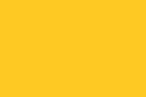 Branding Guide LP assets-colors 11