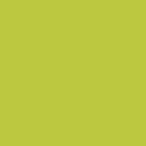 Branding Guide LP assets-colors 4