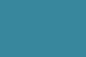 Branding Guide LP assets-colors 6