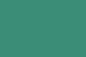 Branding Guide LP assets-colors 9