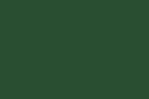 Branding Guide LP assets-colors_26_DarkGreen_5 Branding Guide LP assets-colors_26_DarkGreen_5