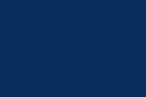 Branding Guide LP assets-colors_26_NavyBlue_5 Branding Guide LP assets-colors_26_NavyBlue_5