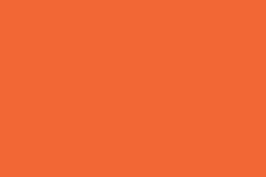 Branding Guide LP assets-colors_26_Orange_5 Branding Guide LP assets-colors_26_Orange_5