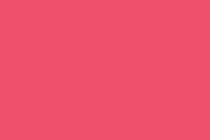 Branding Guide LP assets-colors_26_Pink_5 Branding Guide LP assets-colors_26_Pink_5