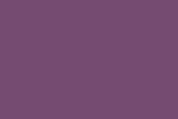 Branding Guide LP assets-colors_26_Purple_5 Branding Guide LP assets-colors_26_Purple_5