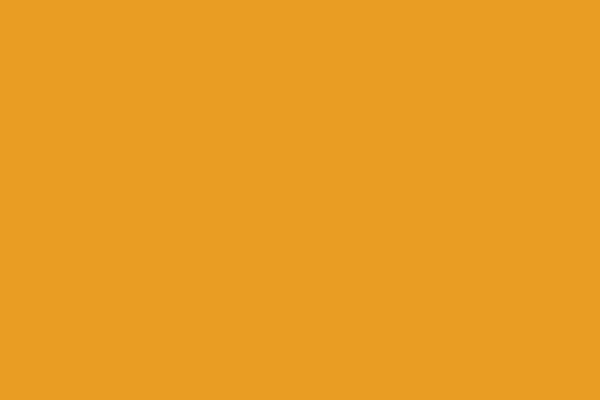 Branding Guide LP assets-colors_26_Yellow_5 Branding Guide LP assets-colors_26_Yellow_5