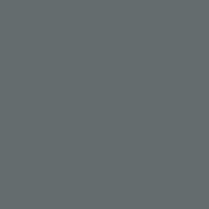 Branding Guide LP assets-colors_CoolGray_2 Branding Guide LP assets-colors_CoolGray_2