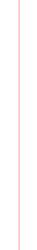 vertical line-pink