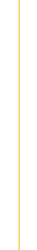 vertical line-yellow-1